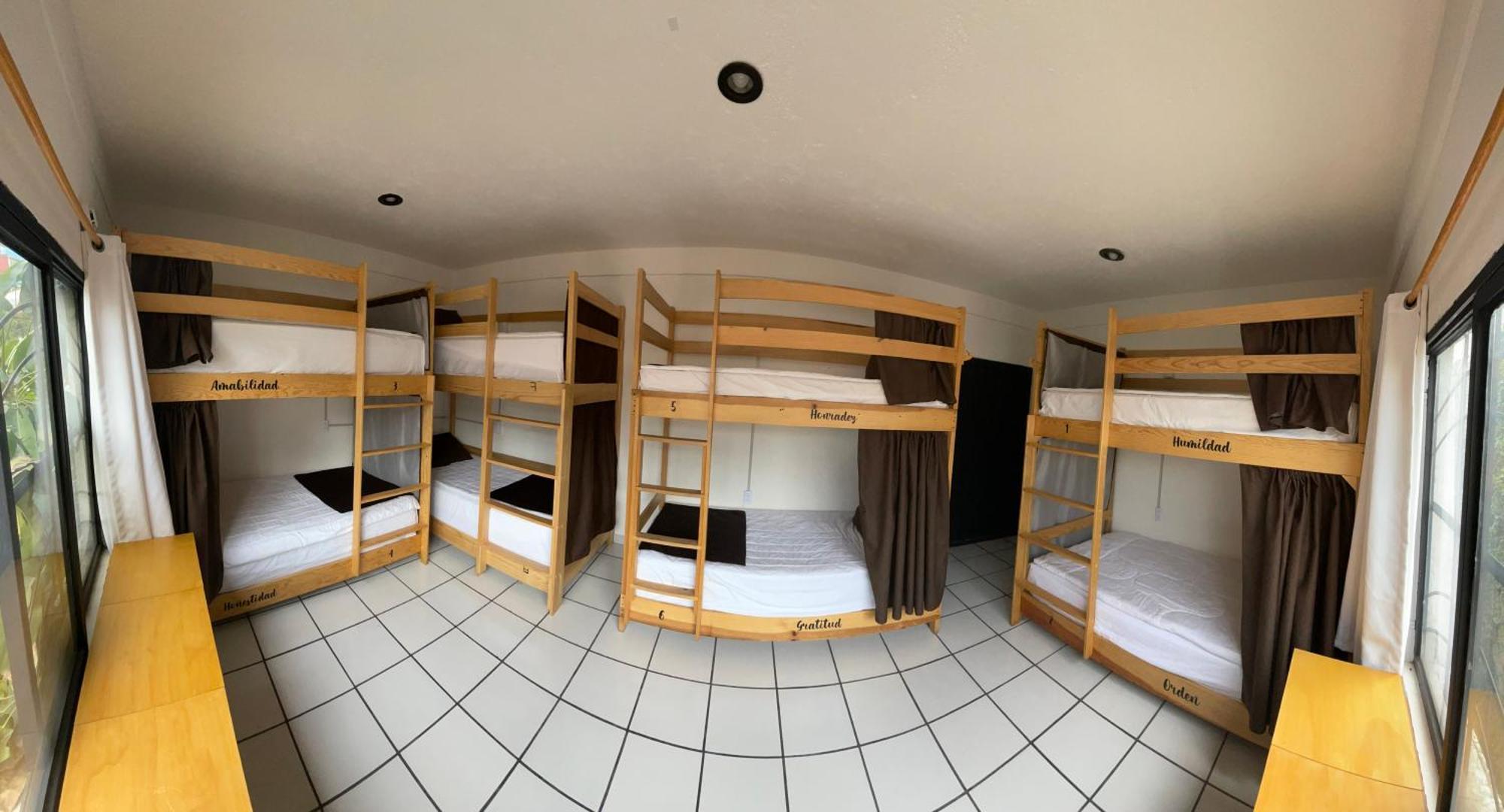 Hostal Roma Condesa เม็กซิโกซิตี้ ภายนอก รูปภาพ