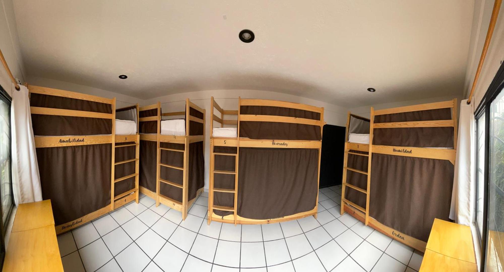 Hostal Roma Condesa เม็กซิโกซิตี้ ภายนอก รูปภาพ